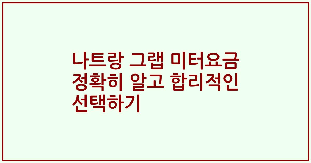 나트랑 그랩 미터요금 정확히 알고 합리적인 선택하기