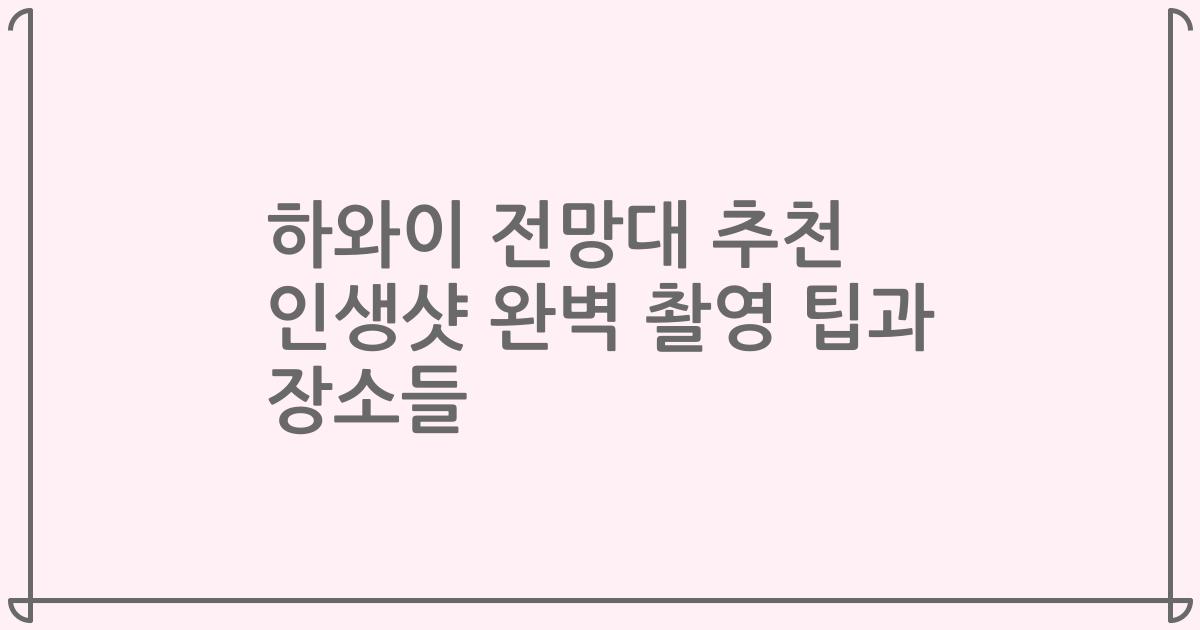 하와이 전망대 추천 인생샷 완벽 촬영 팁과 장소들